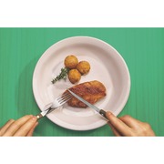 ����� �������� ����� Tradicional 19,3�� 22202/300