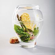 ����� �������� - 2 �� Lotus MEDIUM 310�� 0831/80