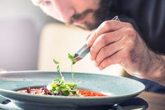 ������ ����� Life style ���� rainforest 26�� LSR2126