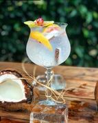 ����� ��� �������� Gin&Tonic "1924" 620�� 502008