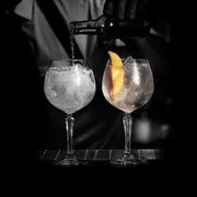 ����� ��� �������� Gin&Tonic "SPKSY" 580�� 602104