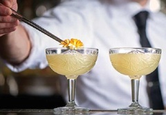 ����� ��� �������� Coup Hobstar 250�� 929799