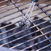 ٳ��� ��� �������� ���� Big Green Egg 21�� 201201