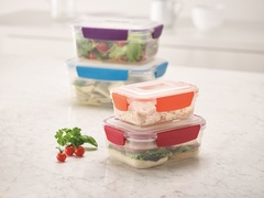 ���� �� 4-� ���������� Nest Lock 81090