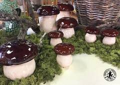 ������� ��� �������� ���� 27�� 65018639