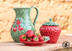 ������� ��� �������� �������� 450�� 65006992