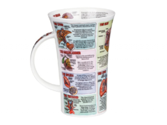 ������ Glencoe Organs of human body 500��