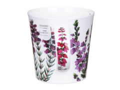 ������ Cairngorm Scotish heathers 480��