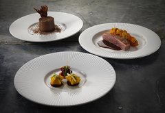 ������� ��������� Willow 23�� 9117C1183