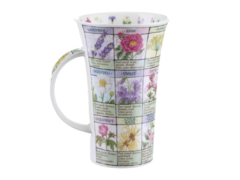 ������ Glencoe Herbal Remedies 500�� 101003542