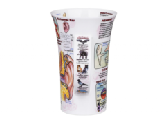 ������ Glencoe Ear 500�� 101003544