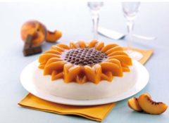 ����� ��������� Uniflex 26�� SFT252/C