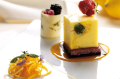 ����� ��� ������� SiliconFlex  ���  SF105/C