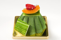 ����� ��� �������� SiliconFlex SF109/C