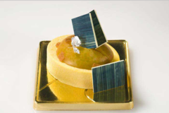 ����� ��� ������� SiliconFlex SF111/C