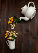 ������� ��������� Alentejo 27�� TP273-00201D-1