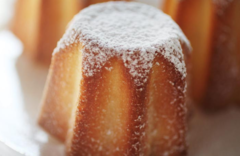 ����� ��� �������� SiliconFlex SF100/C