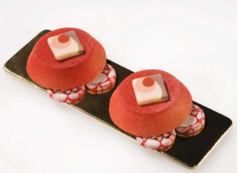 ����� ��� ������� SiliconFlex  ����������  SF013/C