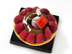 ����� ��� ������� SiliconFlex SF012/C