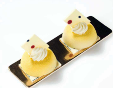 ����� ��� �������� SiliconFlex SF010/C