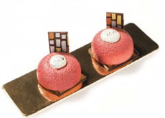 ����� ��� ������� SiliconFlex ''���������  SF009/C