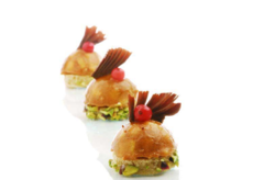 ����� ��� ������� SiliconFlex ''��������� �������  SF004/C