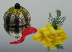 ����� ��� ������� SiliconFlex ''��������� �������  SF001/C