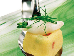 ����� ��� ������� SiliconFlex SF080/C