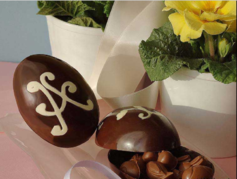 ����� ��� ������ SiliconFlex SF041/C