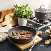 ��������� Salina Granitium Induction 20�� 1005120