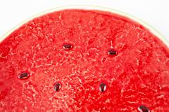 ������ ������� ����� 21�� 65020804-1