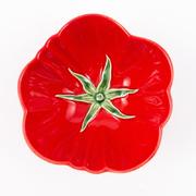 ϳ��� ����� 16�� 65022238