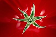 ϳ��� ����� 16�� 65022238