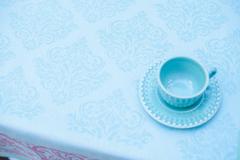 �������� � ���������� ��������� ��������-������� ������� 160�250�� ProdigeNC5729004-250Turqu