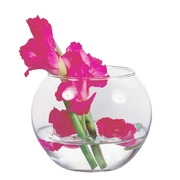 ���� Flora 10�� 43417