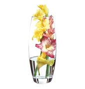 ���� Flora 26�� 43966