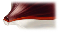 ��������� ��� ���� Fresh Savers 12,5�� SN000196