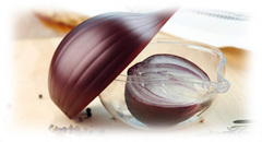 ��������� ��� ���� Fresh Savers 12,5�� SN000196