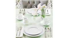 ��������� � ������� Flora 250�� FLO01SK00