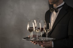 ����� ������� ��� ���� Banquet Burgundy 630�� 121590