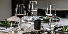 ����� ������� ��� ���� Vervino Burgundy 955�� 121409