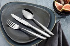 ͳ� ��� ������ Tulip 24�� 11TULI115