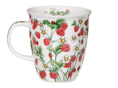 ������ Nevis Wild fruits raspberry 480�� 101005771