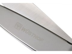 ������� ������ 21 �� 5564