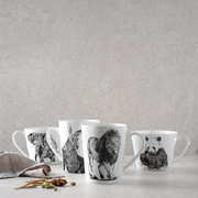 ������ ������� Marini Ferlazzo Turtle 20�� DX0529