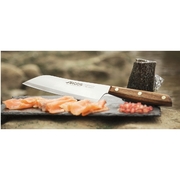 ͳ� Kiritsuke Nordika 19�� 166600