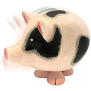 ��������� �� ������� ��������� ��� 11�� 367-2007