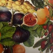 ���� Le Primizie 39�� 52186