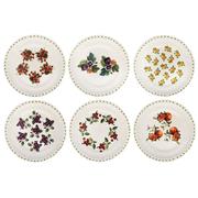 ����� ������� Le Primizie 6/18 52160