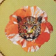 ������� �������� Ete Savage 22�� 36989